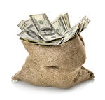 Money Bag